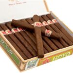 Hoyo De Monterrey Palmas Extra/25